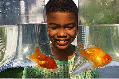 东方同人游戏《东方冰之勇者记》推出试玩Demo 10月正式推出